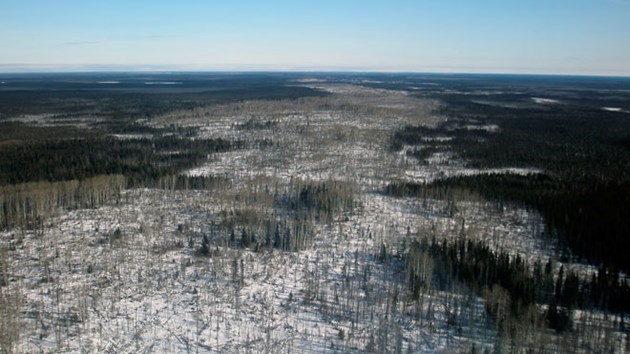 The Greater Sudbury Chamber of Commerce has received majority support for a resolution it submitted asking the federal government make the development of the Ring of Fire a national priority. File photo.